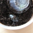 해오름펜션 이미지