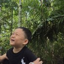 [공지] 보홀패키지여행 노랑풍선 4살아기랑 가족여행 여름휴가♥