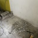 주동초등학교 이미지