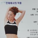 자사랑무자화수기
