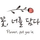 꽃;너를담다