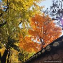 덕은동(서울경계지점) | 서울무료전시 추천ㅣ서울시립미술관, &lt;강령: 영혼의 기술&gt; 후기(1) 1층 관람팁·동선 완벽 정리