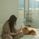 푸욱스테이 이미지