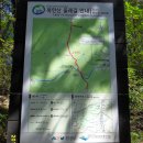 쌍둥이 농원 이미지