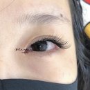 블루밍 제이(Blooming J) 이미지