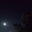 달밤 이미지