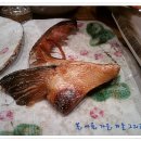 이춘복참치종각 이미지