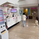 도담지소아청소년과의원 | 포항여성아이병원 영유아 1차 검진 &amp; BCG 접종 후기