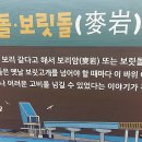 장길리 보릿돌 이미지