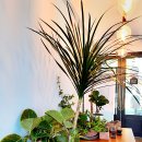 포나인안경 이미지