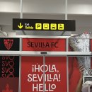 택시승강장 옆 | 세비야 '공항에서 시내, 시내에서 공항' 버스 택시 이동 방법 면세점 후기