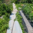 용산면 행정복지센터 이미지