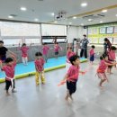 용인대 금메달 태권도 이미지