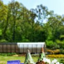 반디작은도서관 이미지