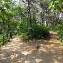 영월한반도지형 이미지