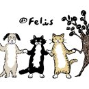 BY펠리스 이미지