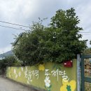 옛찬물집 | 전남/담양 촌캉스 애견 동반 독채 펜션 김부자댁둘째딸 내돈내산 후기
