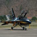 블랙이글 이미지