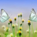 기운찬한의원 이미지
