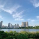 슈가리얼티부동산중개법인주식회사 이미지