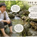 왕두꺼비