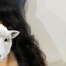 더벤티이천부발점 | 이천히피펌 잘하는 곳, 부발 헤어메이드에서 굵은 히피펌 받고 온 솔직 후기