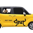 동물택시 이미지