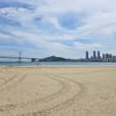 다인부동산중개사무소 이미지