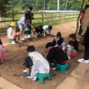 법천사지 유적전시관 네이버블로그