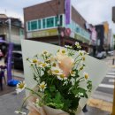 암사화원