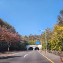 다전초 앞 도로 이미지