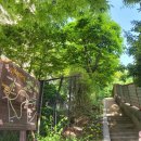 변종인 묘와 신도비 이미지