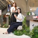 시슬리현대