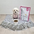 강아지 피부사료 마이펫닥터 가수분해 알러지사료 급여 후기