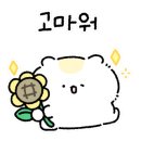 예쁜돼지 이미지