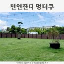 예쁘고멍 | 김포애견카페와애견호텔 김포 멍더쿠 애견유치원 천연잔디 이용 후기