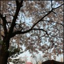 풍납토성 (풍차앞) 이미지