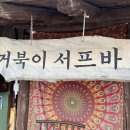 거북애견 이미지