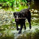 위례S동물의료센터 이미지