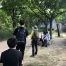 녹색교육 이미지