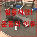 더 웰짐 이미지