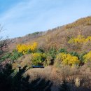 금봉자연휴양림 이미지