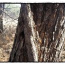 송담3로 이미지