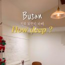 하우딥 이미지
