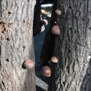 이성종 농장 이미지