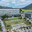 도화전통시장 이미지