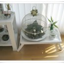 정이드는집 이미지