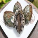 PARTNER SHOP(파트너 샵) 이미지