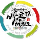 경희대 석사 바른태권도 이미지