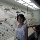 남문휴계소(흰돌메공원) | 가벼운 나들이 진해 시티투어